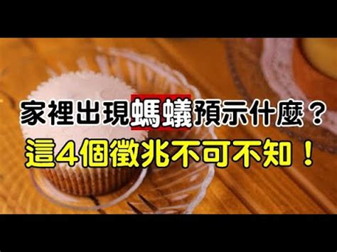 螞蟻風水|【家中有螞蟻風水】家中有螞蟻風水！4個吉凶徵兆不可不知，點。